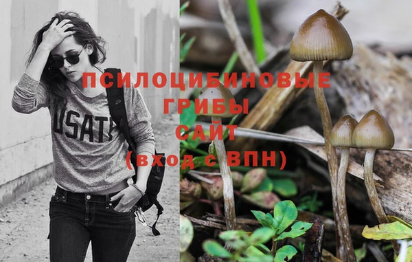 стафф Тобольск