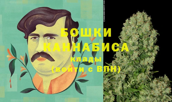 spice Тихвин