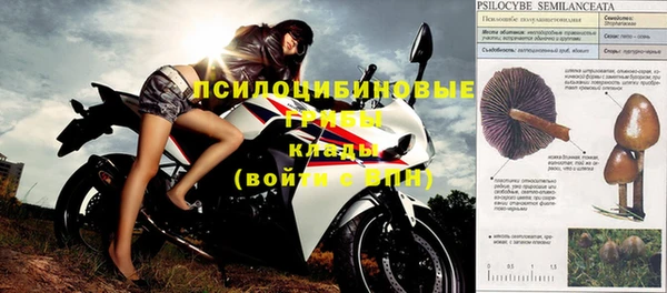 spice Тихвин